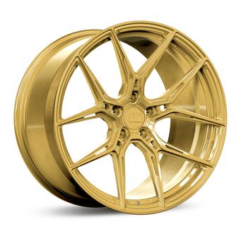 Variant NYSA in Spun Gold