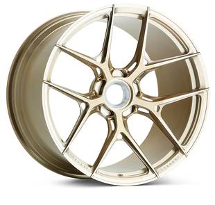 Vossen S21 01 in Patina Gold